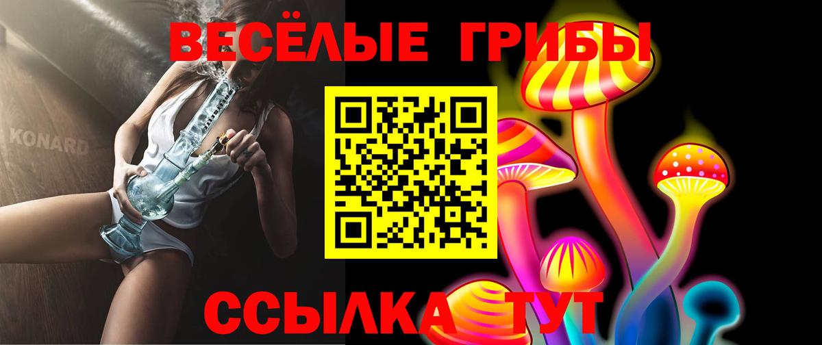 Псилоцибиновые грибы Cubensis Нижний Тагил